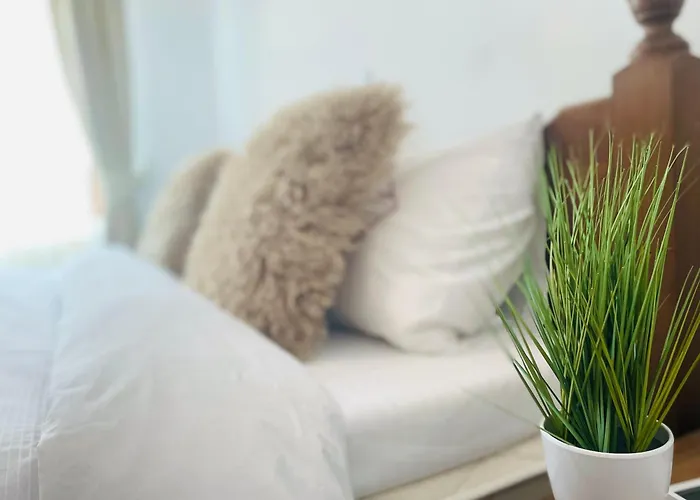 In Bansko, Very Close To The Gondola *